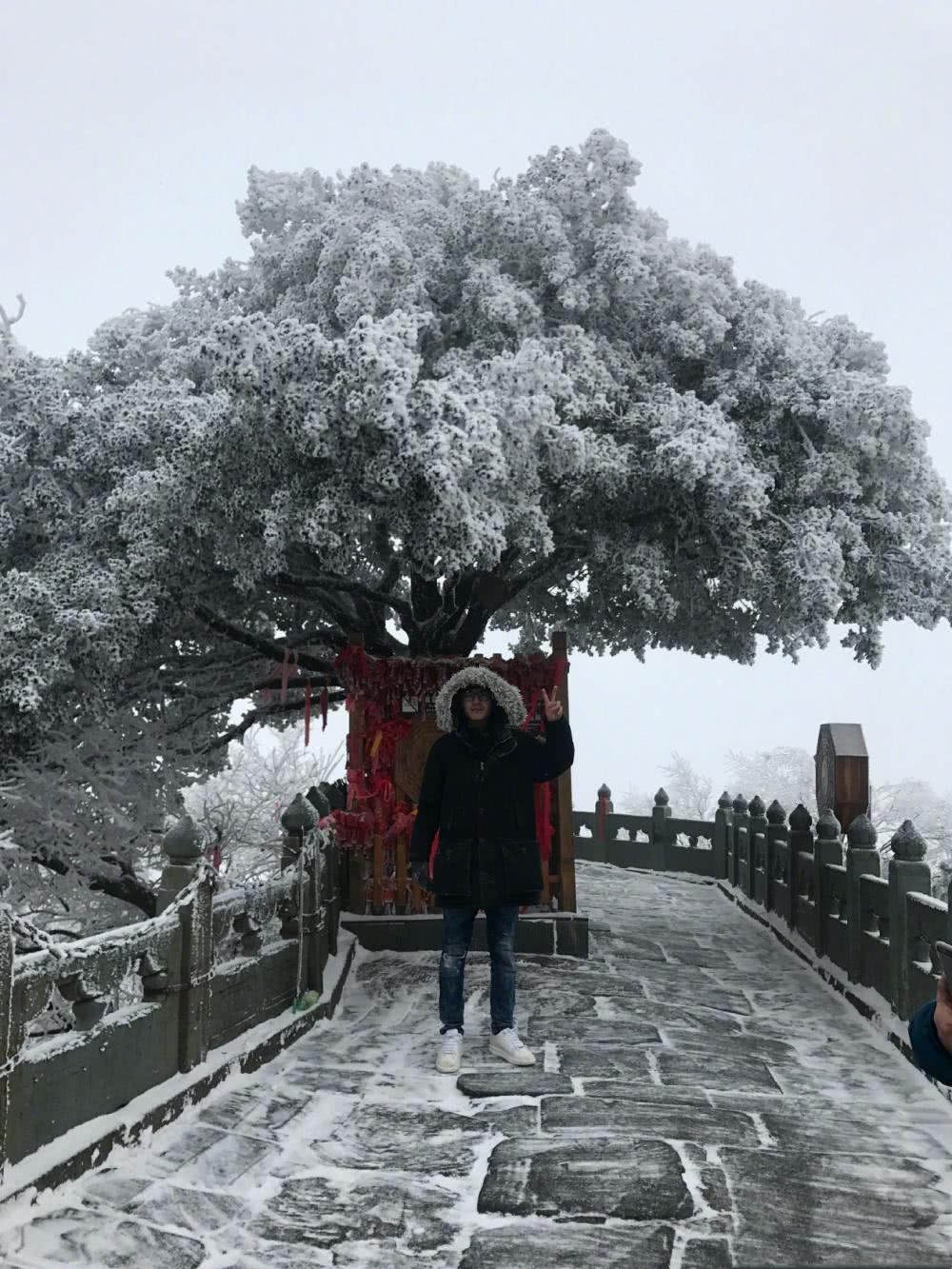 刘昊然正月里连续五天不刮胡子晒游客照俨然变路人