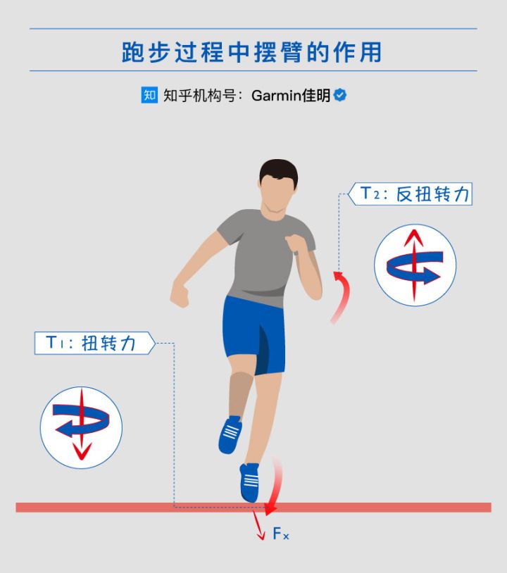 跑步的奥秘为什么短跑运动员能跑得那么快