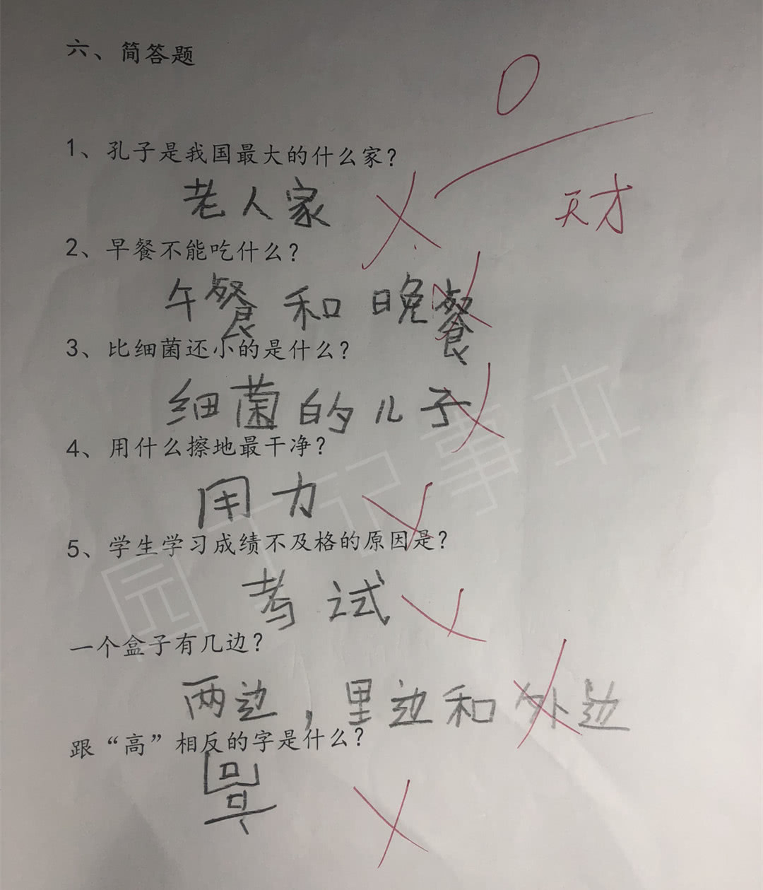 小学生造句太有才女老师笑红了耳朵妈妈把作业收藏了起来