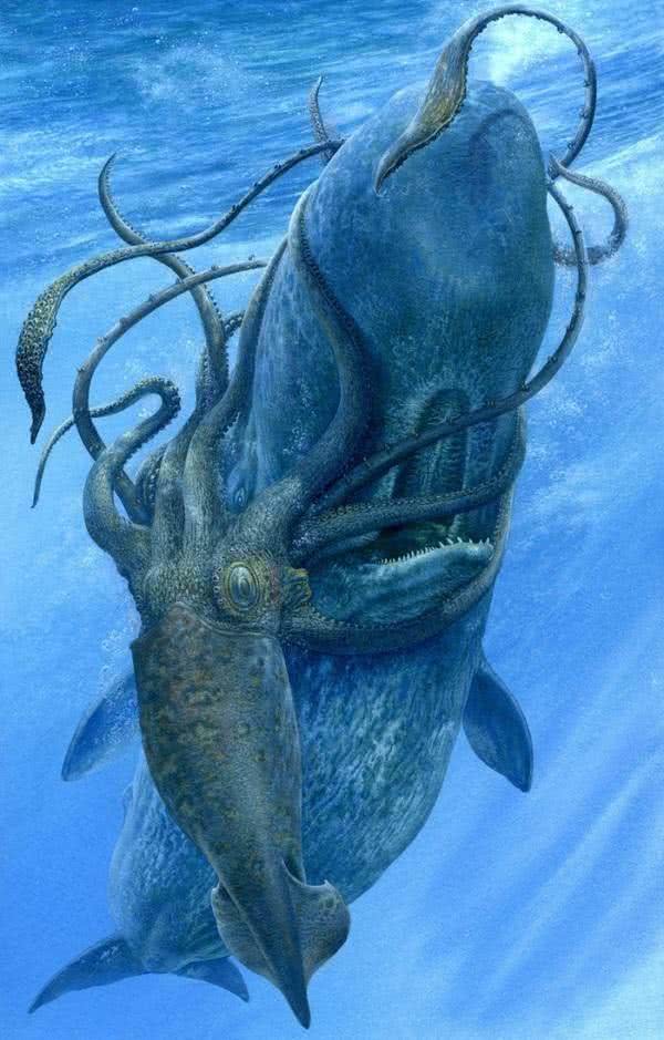 人类能否潜至海下10000米? 科学家: 海底的情景足以吓退人类