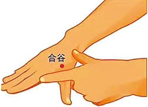 是有技巧地捏,捏的位置是"虎口",位置在手背大拇指和食指之间,这个