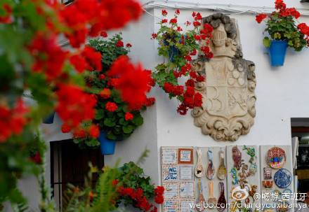 广东佳丽百花丛论坛深度解析与岭南文化交融的现代影像