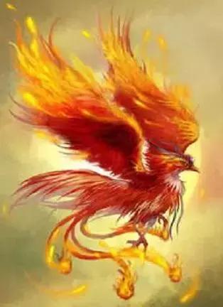 上古八大神火你知道几个,天地化为虚无,万火之祖!