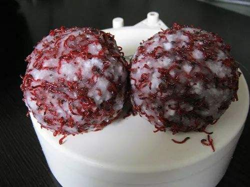 专为冬钓而生的神奇饵料,红虫肉夹馍的进击之路是这样来的