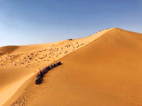 沙漠行军蚁竟真实存在?瞬间吞噬一个部队,让人胆颤!|沙漠|部队|行军蚁_新浪网