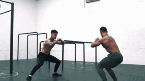 动作五：3组*12次