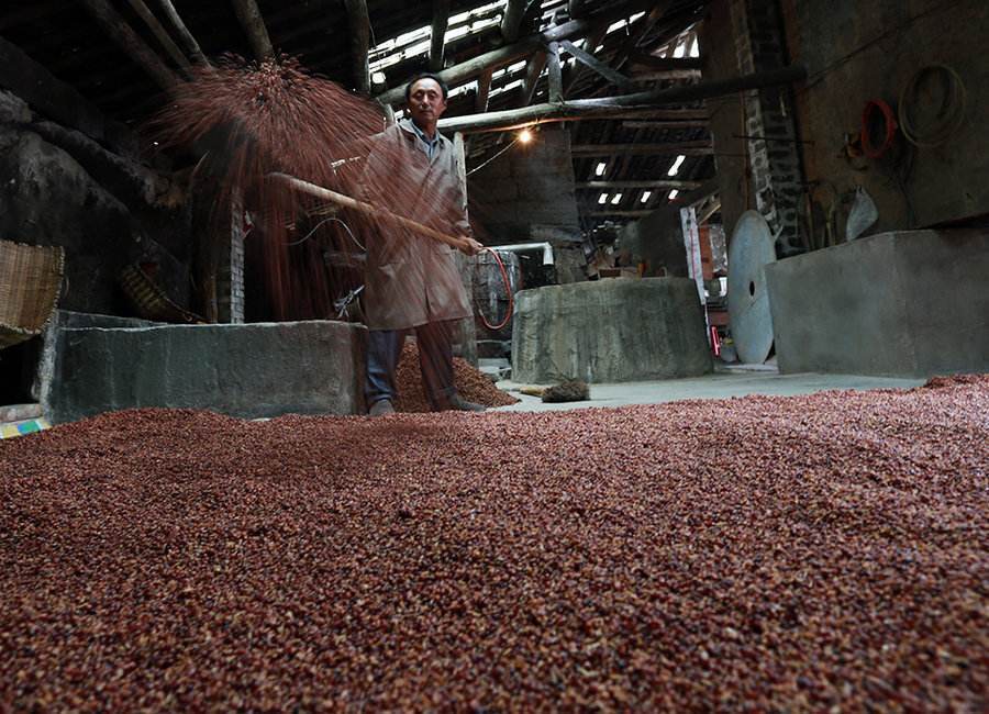 唐三镜胡星杰揭秘:高粱酒酿酒发酵的错误操作及影响!