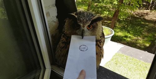 宠物猫头鹰来送信还要按一下嘴巴才给拿主人小姐姐真会玩