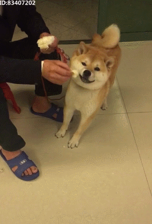 305_448竖版 竖屏gif 动态图 动图