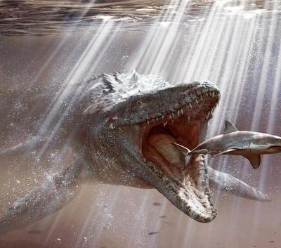 沧龙号称远古海洋霸主但也难免成为这种鲨鱼的腹中食物