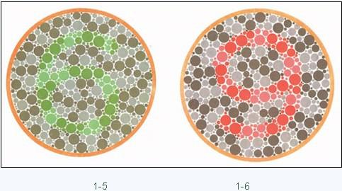 疾病|遗传病|色盲_新浪新闻