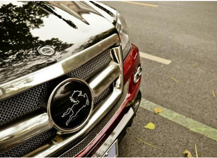 男子开着一辆"马头车"来售楼部,保安纳闷:到底是什么车-新浪汽车