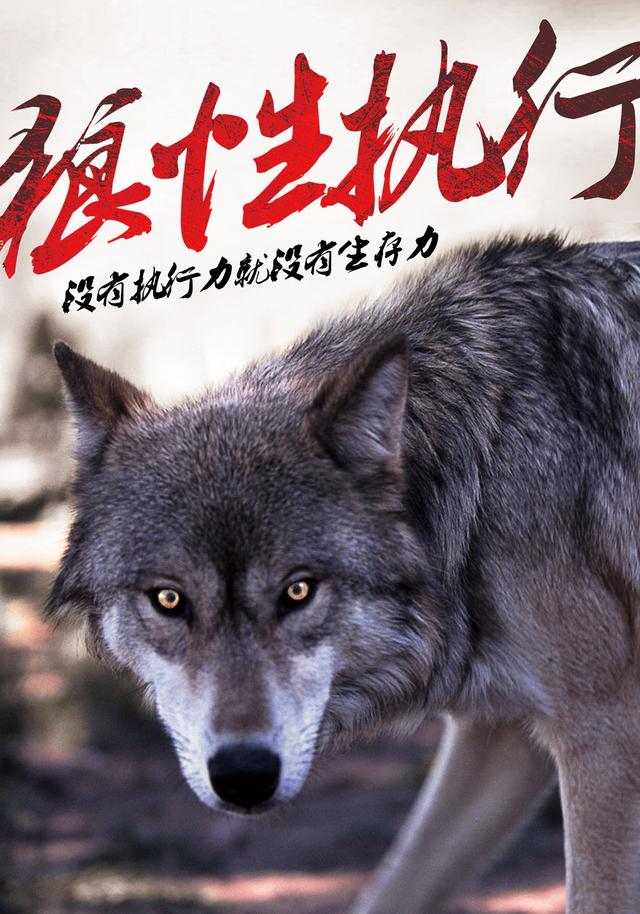 那些狼性团队的领导,不打鸡血,不玩虚的,就让员工狠抓这7个字