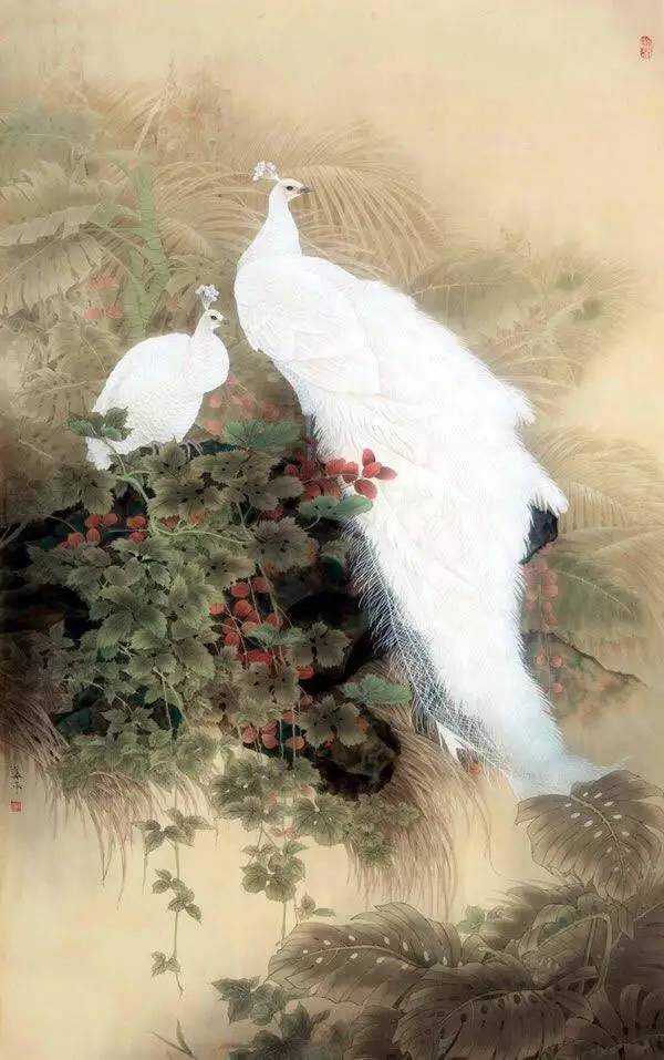 他笔下的白孔雀犹如穿着雪白婚纱的少女