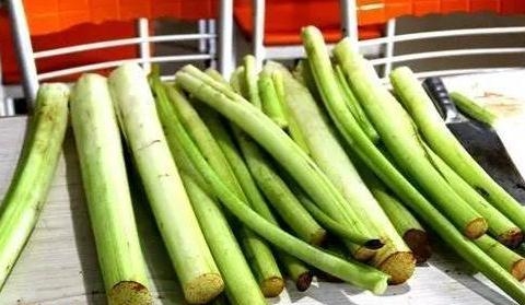 这种菜杆, 被村里人拿来喂猪, 用淘米水泡泡, 可防近视, 浪费可惜