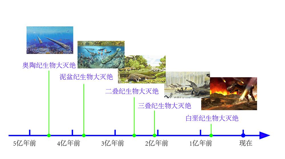 最严重的一次生物灭绝二叠纪生物大灭绝事件有哪些可能的原因