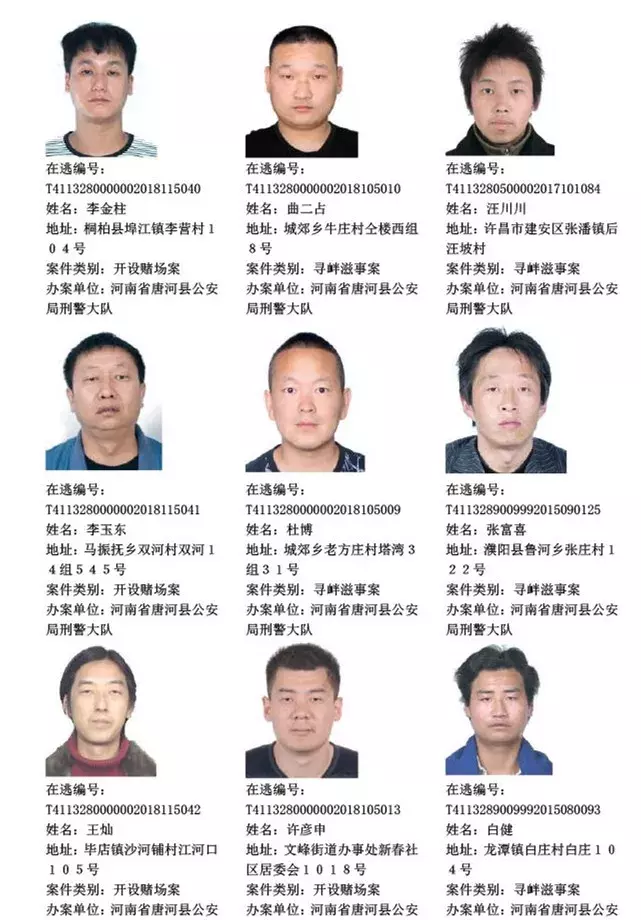 南阳唐河公安局发布通缉令, 见到这18个人请立即报警!