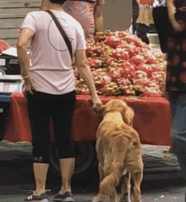 367_398gif 动态图 动图