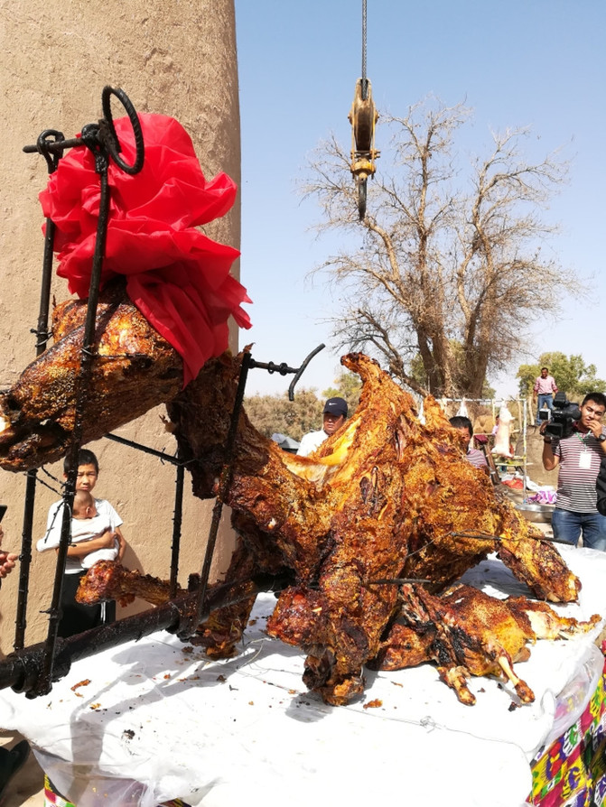 8万阅读,选好题材,用好角度,文章视频关注度肯定高烤全驼66.