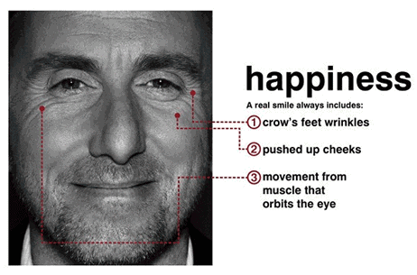 揭秘:猫咪微表情如何让你1秒读懂猫心?