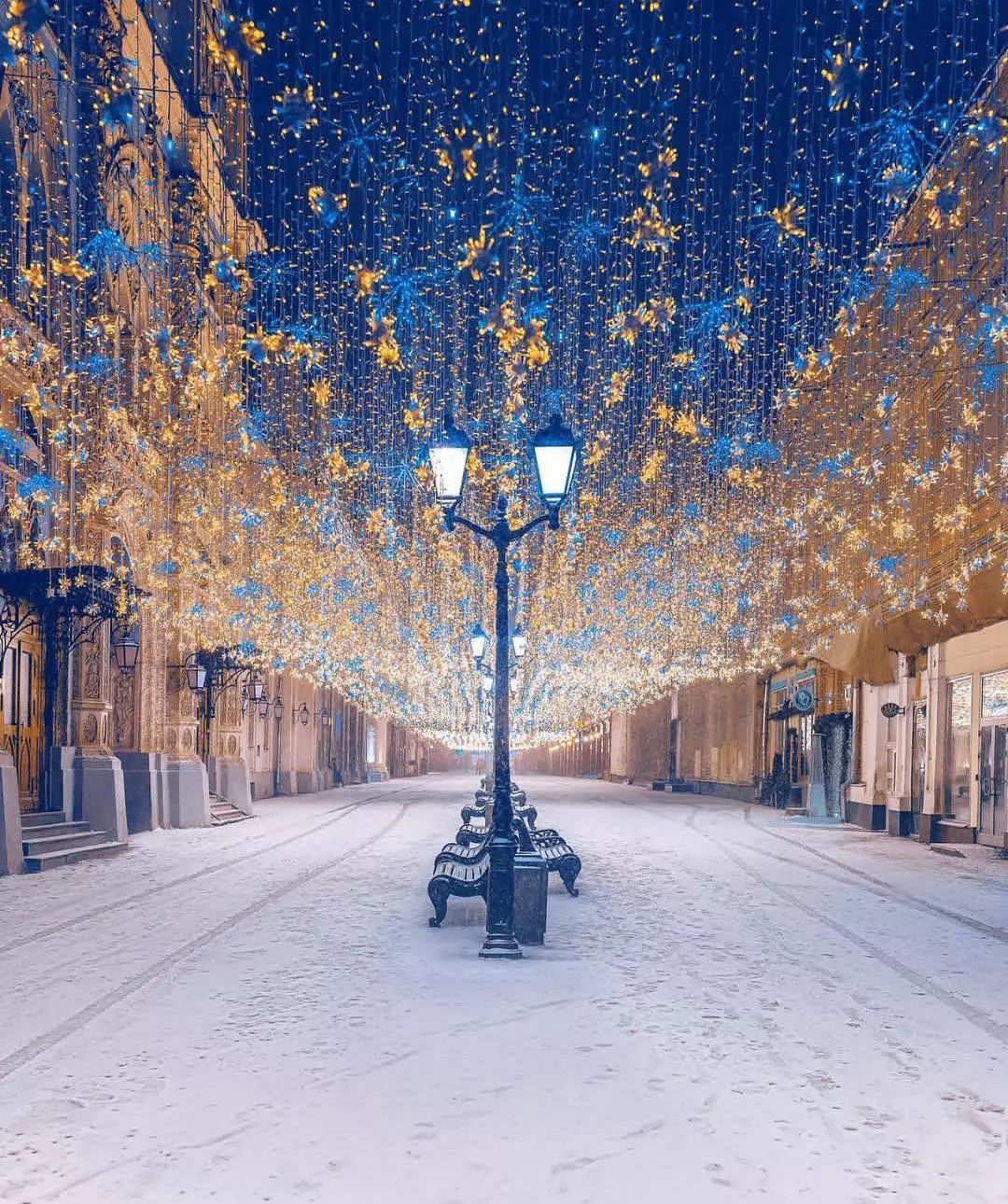 美图欣赏｜大雪·世界|大雪|瑞士|格林德尔瓦尔德_新浪新闻