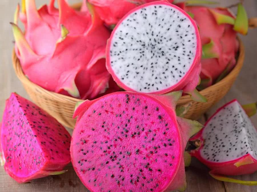 文冠果 龙果之谜 蛟龙果特点及灌溉方法