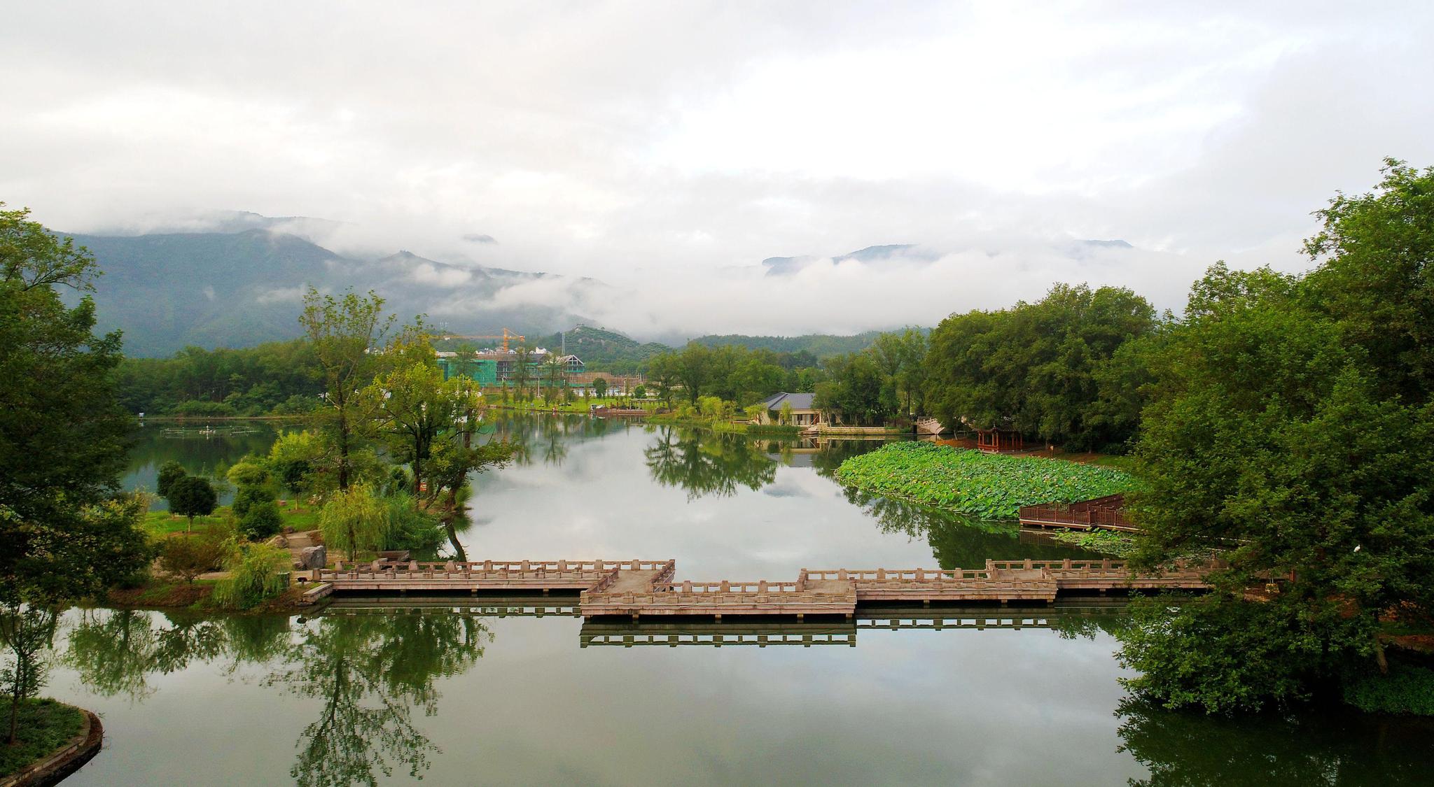 仙居seo优化运营