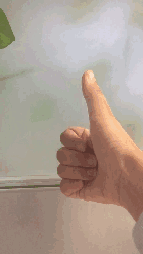 这个手势火了,轻松检测腱鞘炎!6个小动作,轻松预防!