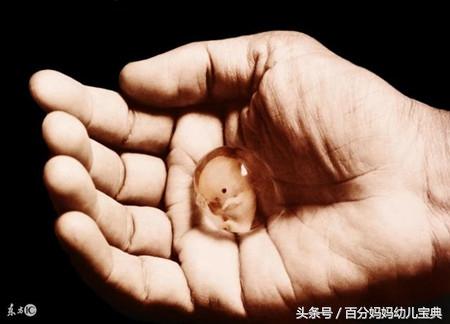 被堕胎出来胎儿还有呼吸,医生这种做法,难道孕妈不心痛吗?