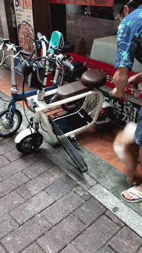 据说这是专门给养狗的人用的电动车,带狗出门太方便了,来一辆?