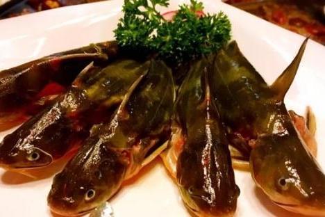 黄辣丁鱼火锅制作简单还有特异功效在家也能够吃火锅