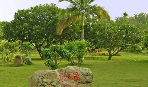 西双版纳南药园是国家aa级旅游景区地处云南省西双版纳州