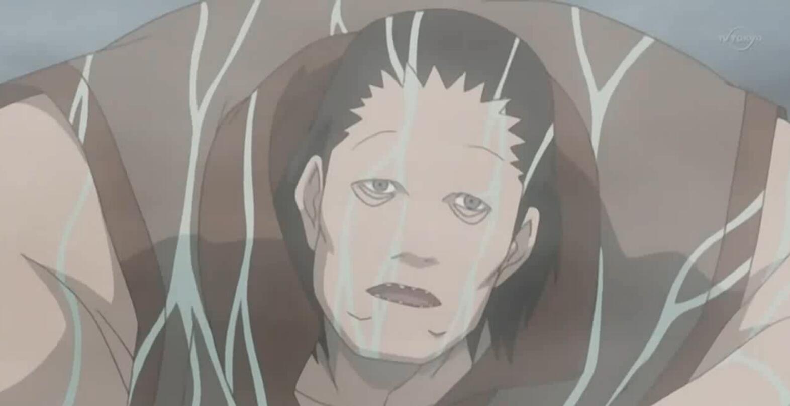 白绝真的让人难以接受|火影|红莲|牛头_新浪新闻