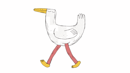 500_281gif 动态图 动图