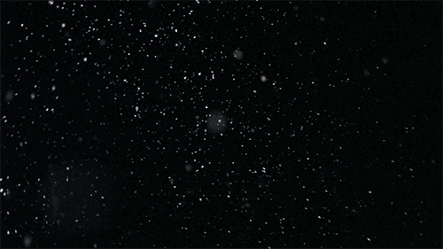 500_281gif 动态图 动图