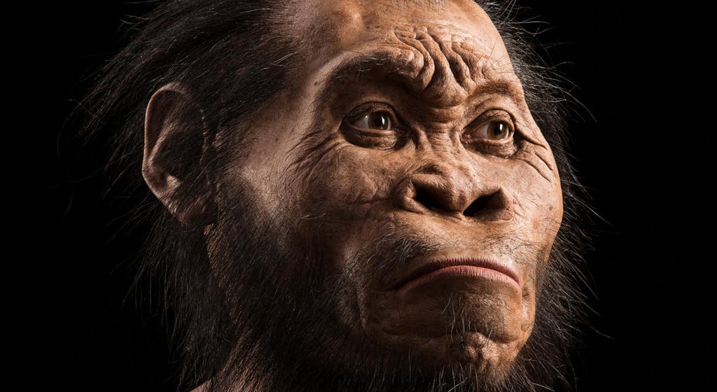 女子外形酷似人猿,体力惊人,dna检测后结果令人吃惊!