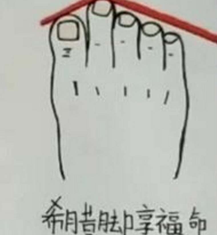 从你脚趾的长度,看你的命运如何?超准