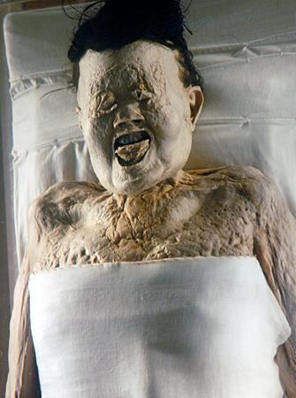 盗墓界第一高手,考古专家没办法搞定古墓,却被他轻松拿下!