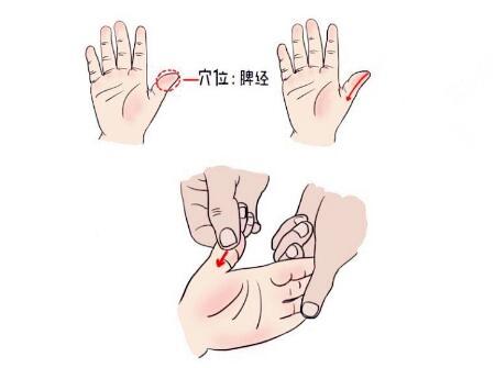 小儿推拿手法穴位——脾经