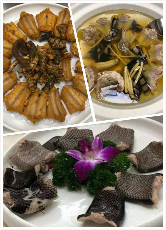广东重口味女神,谢杏芳晒"全蛇宴",蛇肉3种吃法