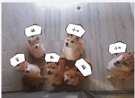 向往的生活小h带儿子回归彩灯老了网友喊话黄磊炖鸭汤啦