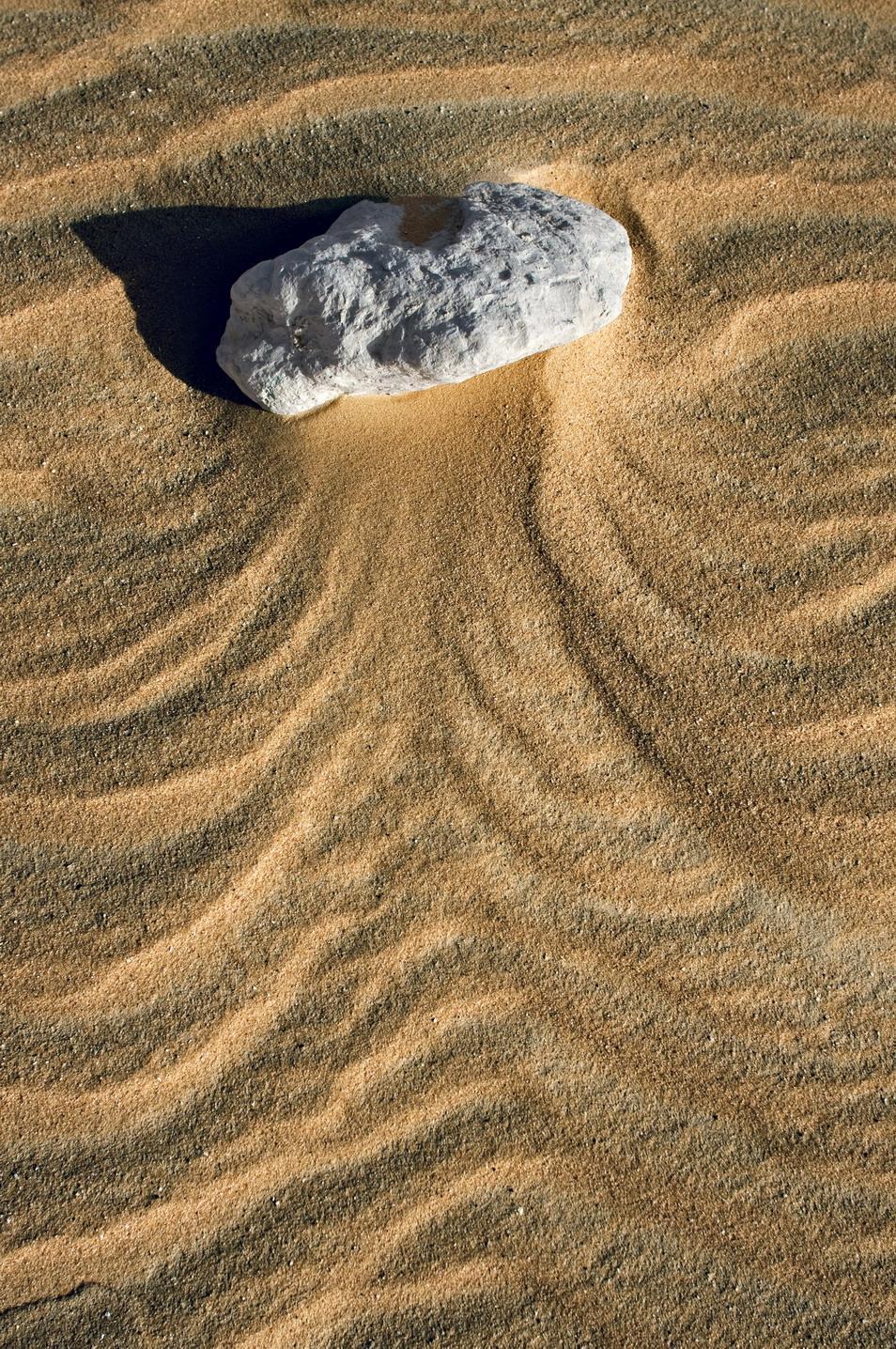 自驾游埃及,原来撒哈拉大沙漠也有那么多惊艳景观和生命奇迹