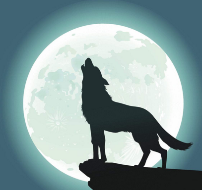 小诡计?|诡计|狼|主人公_新浪新闻