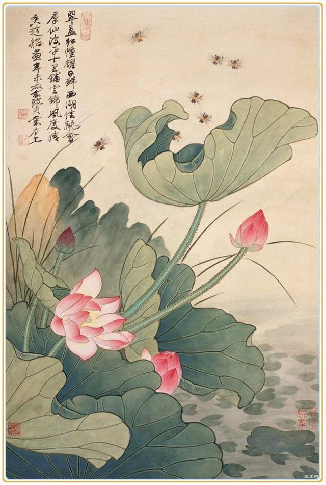 著名花鸟画家俞致贞荷花作品欣赏!