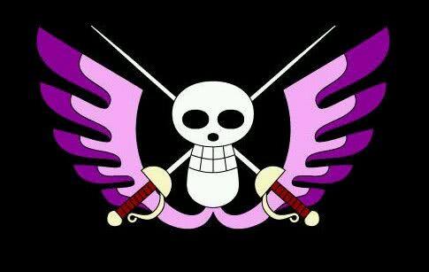 海贼王十二个海贼团旗帜认出八个以上才是真海迷