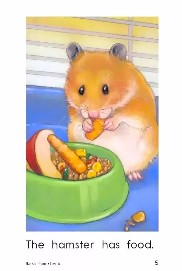 邦元英语:睡前故事 | 《hamster home》仓鼠的家
