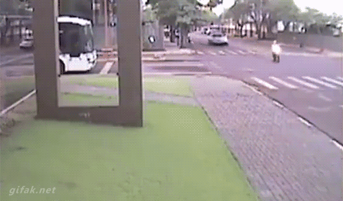 15张动图告诉你:外国人可以作死到什么程度!