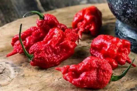 日本厨师用魔鬼辣椒制作"死亡炒饭",食客吃之前要签"生死状"!