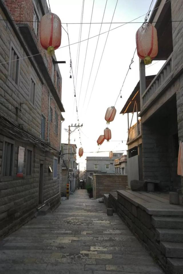 永宁古街专家们先后来到石狮市蚶江镇,祥芝镇和永宁镇,考察了蚶江湿地