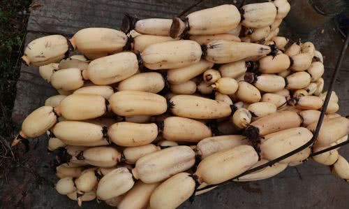 选莲藕时炖汤和炒菜不一样记住这3个小技巧千万不要挑反了